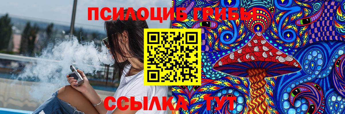 Галлюциногенные грибы Cubensis  Галлюциногенные грибы Psilocybine cubensis  Вход с VPN  Рубцовск 