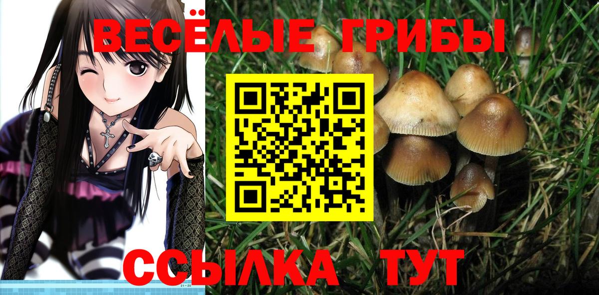 Псилоцибиновые грибы ЛСД Рубцовск