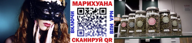 shop какой сайт  Рубцовск  Бошки марихуана сатива 
