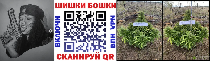 Бошки марихуана семена Рубцовск